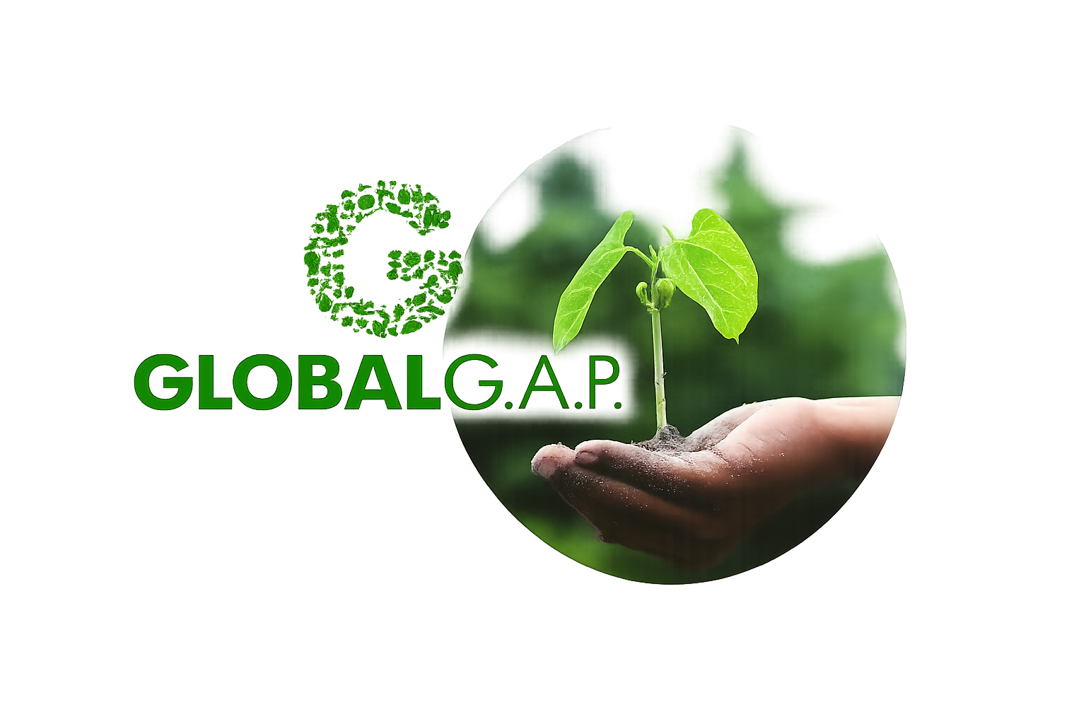 GlobalG.A.P.